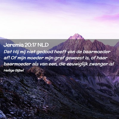 Picture 02 - Jeremia 20:17 NLD - Dat Hij mij niet gedood heeft van de baarmoeder - Bible Verse Picture