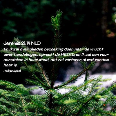 Picture 02 - Jeremia 21:14 NLD - En Ik zal over ulieden bezoeking doen naar de - Bible Verse Picture