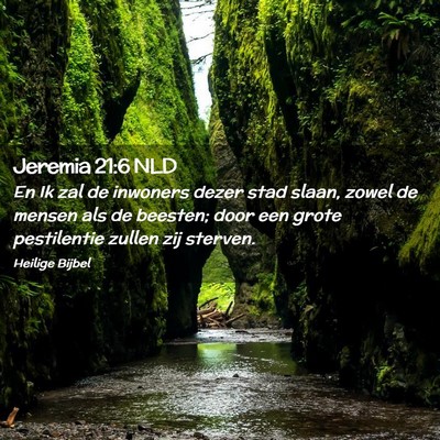 Picture 02 - Jeremia 21:6 NLD - En Ik zal de inwoners dezer stad slaan, zowel de - Bible Verse Picture