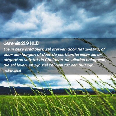 Picture 02 - Jeremia 21:9 NLD - Die in deze stad blijft, zal sterven door het - Bible Verse Picture