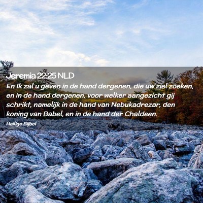 Picture 02 - Jeremia 22:25 NLD - En Ik zal u geven in de hand dergenen, die uw - Bible Verse Picture