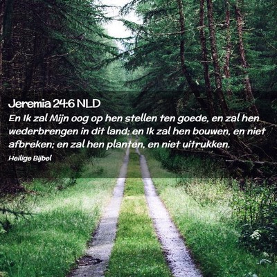 Picture 02 - Jeremia 24:6 NLD - En Ik zal Mijn oog op hen stellen ten goede, en - Bible Verse Picture
