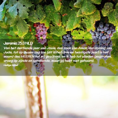 Picture 02 - Jeremia 25:3 NLD - Van het dertiende jaar van Josia, den zoon van - Bible Verse Picture