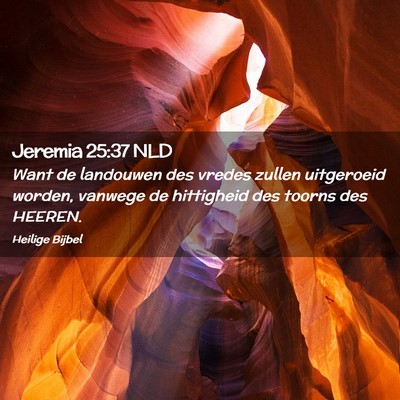 Picture 02 - Jeremia 25:37 NLD - Want de landouwen des vredes zullen uitgeroeid - Bible Verse Picture