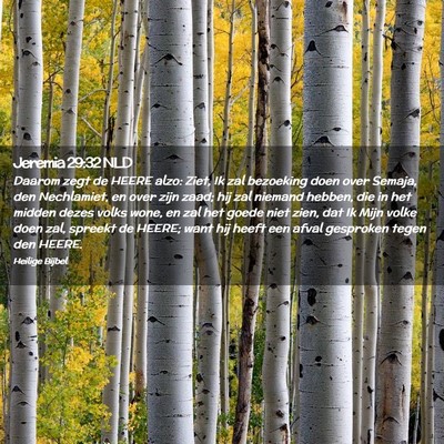 Picture 02 - Jeremia 29:32 NLD - Daarom zegt de HEERE alzo: Ziet, Ik zal bezoeking - Bible Verse Picture
