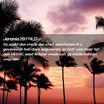Picture 02 - Jeremia 29:7 NLD - En zoekt den vrede der stad, waarhenen Ik u - Bible Verse Picture