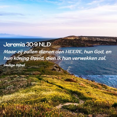 Picture 02 - Jeremia 30:9 NLD - Maar zij zullen dienen den HEERE, hun God, en hun - Bible Verse Picture