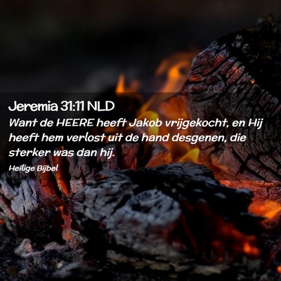 Picture 02 - Jeremia 31:11 NLD - Want de HEERE heeft Jakob vrijgekocht, en Hij - Bible Verse Picture