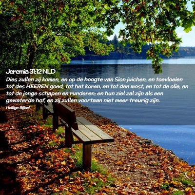 Picture 02 - Jeremia 31:12 NLD - Dies zullen zij komen, en op de hoogte van Sion - Bible Verse Picture