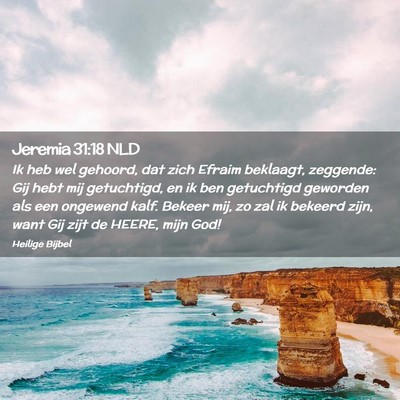 Picture 02 - Jeremia 31:18 NLD - Ik heb wel gehoord, dat zich Efraim beklaagt, - Bible Verse Picture