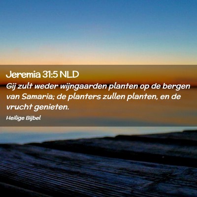 Picture 02 - Jeremia 31:5 NLD - Gij zult weder wijngaarden planten op de bergen - Bible Verse Picture