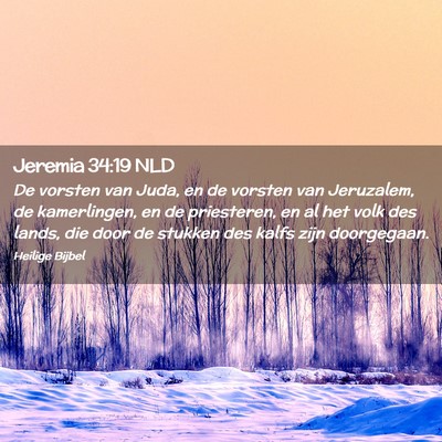 Picture 02 - Jeremia 34:19 NLD - De vorsten van Juda, en de vorsten van Jeruzalem, - Bible Verse Picture