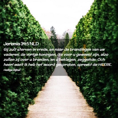Picture 02 - Jeremia 34:5 NLD - Gij zult sterven in vrede, en naar de brandingen - Bible Verse Picture