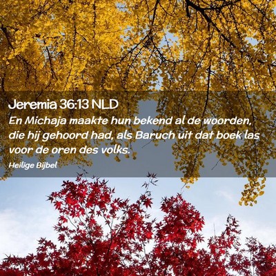 Picture 02 - Jeremia 36:13 NLD - En Michaja maakte hun bekend al de woorden, die - Bible Verse Picture