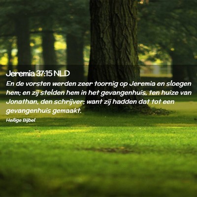Picture 02 - Jeremia 37:15 NLD - En de vorsten werden zeer toornig op Jeremia en - Bible Verse Picture