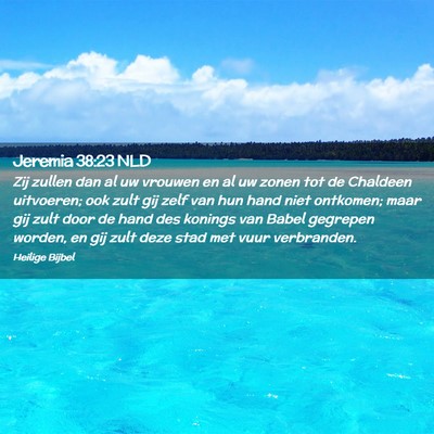 Picture 02 - Jeremia 38:23 NLD - Zij zullen dan al uw vrouwen en al uw zonen tot - Bible Verse Picture