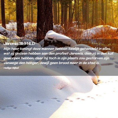 Picture 02 - Jeremia 38:9 NLD - Mijn heer koning! deze mannen hebben kwalijk - Bible Verse Picture