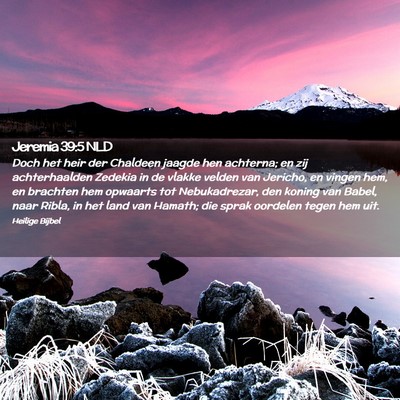 Picture 02 - Jeremia 39:5 NLD - Doch het heir der Chaldeen jaagde hen achterna; - Bible Verse Picture