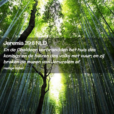 Picture 02 - Jeremia 39:8 NLD - En de Chaldeen verbrandden het huis des konings - Bible Verse Picture