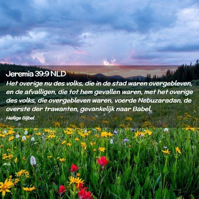 Picture 02 - Jeremia 39:9 NLD - Het overige nu des volks, die in de stad waren - Bible Verse Picture
