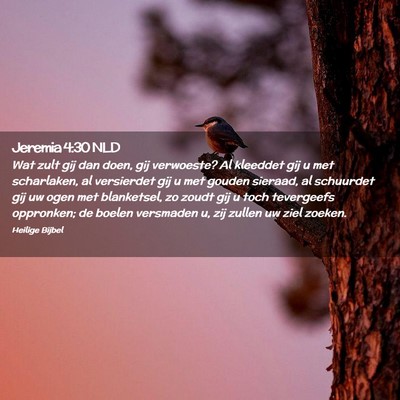 Picture 02 - Jeremia 4:30 NLD - Wat zult gij dan doen, gij verwoeste? Al kleeddet - Bible Verse Picture