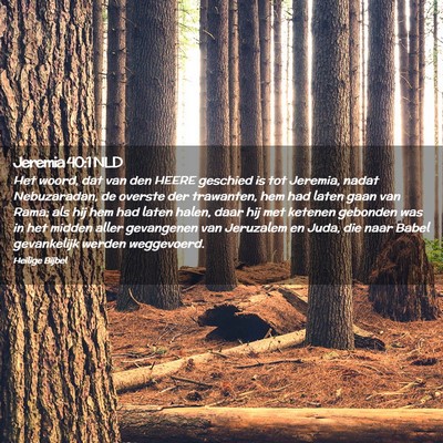 Picture 02 - Jeremia 40:1 NLD - Het woord, dat van den HEERE geschied is tot - Bible Verse Picture
