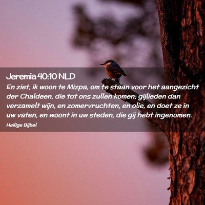 Picture 02 - Jeremia 40:10 NLD - En ziet, ik woon te Mizpa, om te staan voor het - Bible Verse Picture