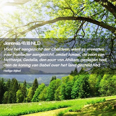 Picture 02 - Jeremia 41:18 NLD - Voor het aangezicht der Chaldeen; want zij - Bible Verse Picture