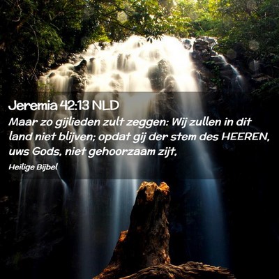 Picture 02 - Jeremia 42:13 NLD - Maar zo gijlieden zult zeggen: Wij zullen in dit - Bible Verse Picture