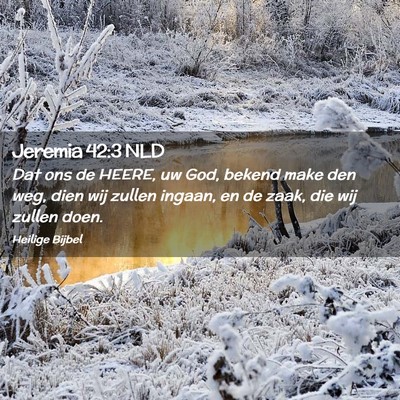 Picture 02 - Jeremia 42:3 NLD - Dat ons de HEERE, uw God, bekend make den weg, - Bible Verse Picture