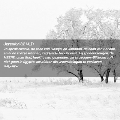 Picture 02 - Jeremia 43:2 NLD - Zo sprak Azaria, de zoon van Hosaja, en Johanan, - Bible Verse Picture