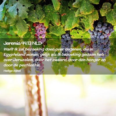 Picture 02 - Jeremia 44:13 NLD - Want Ik zal bezoeking doen over degenen, die in - Bible Verse Picture
