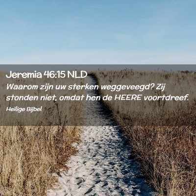 Picture 02 - Jeremia 46:15 NLD - Waarom zijn uw sterken weggeveegd? Zij stonden - Bible Verse Picture