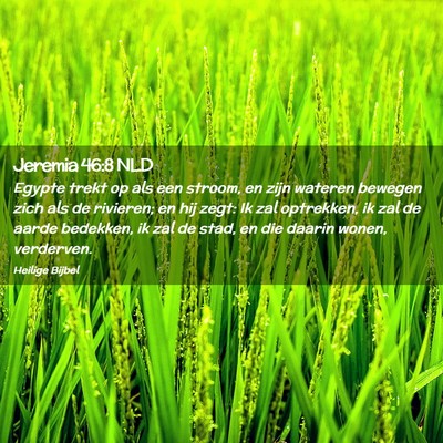 Picture 02 - Jeremia 46:8 NLD - Egypte trekt op als een stroom, en zijn wateren - Bible Verse Picture