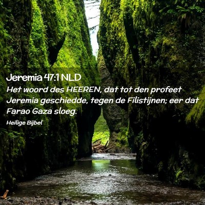 Picture 02 - Jeremia 47:1 NLD - Het woord des HEEREN, dat tot den profeet Jeremia - Bible Verse Picture