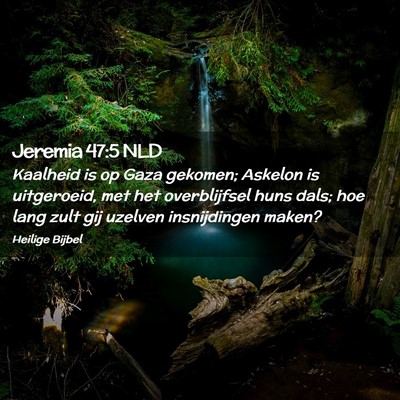 Picture 02 - Jeremia 47:5 NLD - Kaalheid is op Gaza gekomen; Askelon is - Bible Verse Picture