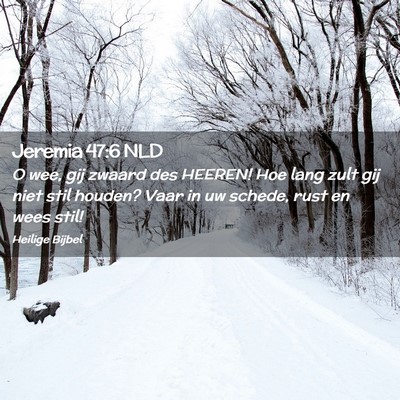 Picture 02 - Jeremia 47:6 NLD - O wee, gij zwaard des HEEREN! Hoe lang zult gij - Bible Verse Picture