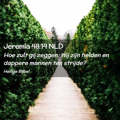 Picture 02 - Jeremia 48:14 NLD - Hoe zult gij zeggen: Wij zijn helden en dappere - Bible Verse Picture