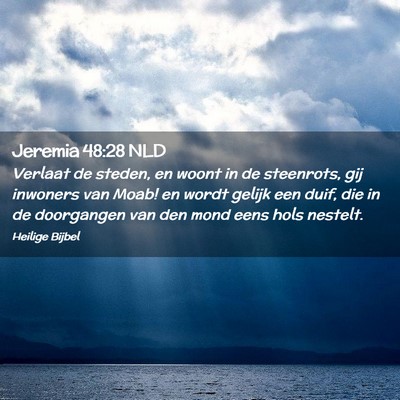 Picture 02 - Jeremia 48:28 NLD - Verlaat de steden, en woont in de steenrots, gij - Bible Verse Picture