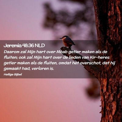 Picture 02 - Jeremia 48:36 NLD - Daarom zal Mijn hart over Moab getier maken als - Bible Verse Picture