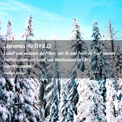 Picture 02 - Jeremia 49:11 NLD - Laat uw wezen achter, en Ik zal hen in het leven - Bible Verse Picture