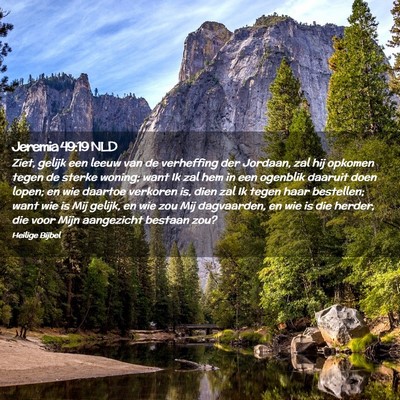 Picture 02 - Jeremia 49:19 NLD - Ziet, gelijk een leeuw van de verheffing der - Bible Verse Picture