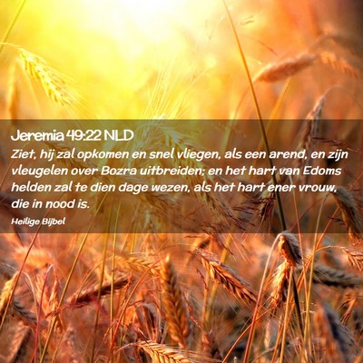 Picture 02 - Jeremia 49:22 NLD - Ziet, hij zal opkomen en snel vliegen, als een - Bible Verse Picture