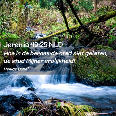 Picture 02 - Jeremia 49:25 NLD - Hoe is de beroemde stad niet gelaten, de stad - Bible Verse Picture