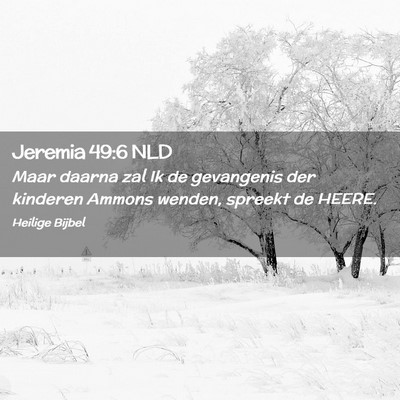 Picture 02 - Jeremia 49:6 NLD - Maar daarna zal Ik de gevangenis der kinderen - Bible Verse Picture