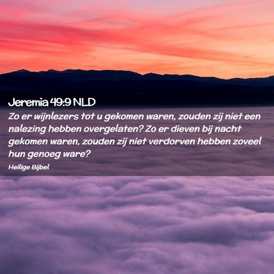 Picture 02 - Jeremia 49:9 NLD - Zo er wijnlezers tot u gekomen waren, zouden zij - Bible Verse Picture