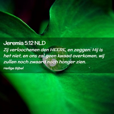 Picture 02 - Jeremia 5:12 NLD - Zij verloochenen den HEERE, en zeggen: Hij is het - Bible Verse Picture