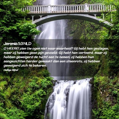 Picture 02 - Jeremia 5:3 NLD - O HEERE! zien Uw ogen niet naar waarheid? Gij - Bible Verse Picture