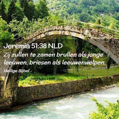 Picture 02 - Jeremia 51:38 NLD - Zij zullen te zamen brullen als jonge leeuwen, - Bible Verse Picture