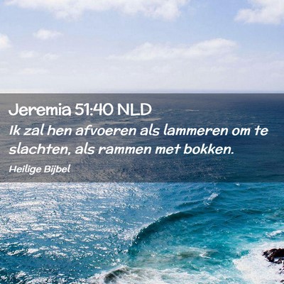 Picture 02 - Jeremia 51:40 NLD - Ik zal hen afvoeren als lammeren om te slachten, - Bible Verse Picture